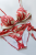 Kostium kąpielowy dwuczęściowy z usztywnianą miską bez wypełnienia